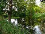 De wijk voor het huis